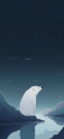 Polar Bear Phone HD Background 1183x2560px