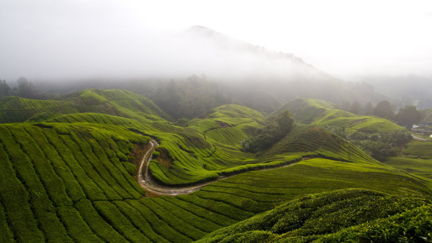 Cameron Highlands 4k UHD Wallpaper 3840x2160px