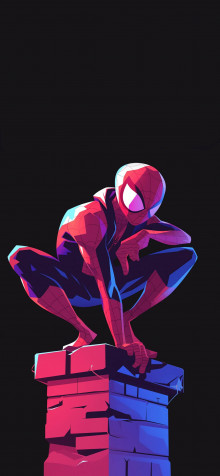 Aesthetic Spider Man Mobile Wallpaper 1183x2560px