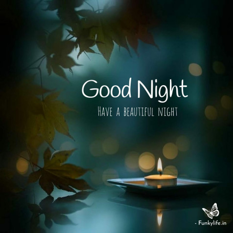 Good Night Images Phone HD Background 1920x1920px