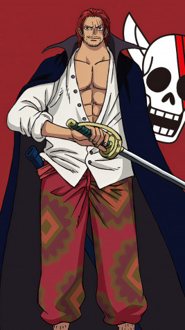 One Piece Movie 4k Phone Wallpaper 2160x3840px