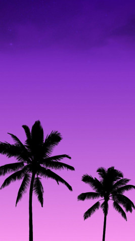 Purple Aesthetic iPhone Background Image 800x1422px