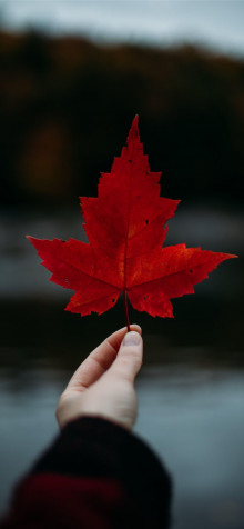 Canada Flag iPhone 14 Plus Wallpaper 1284x2778px