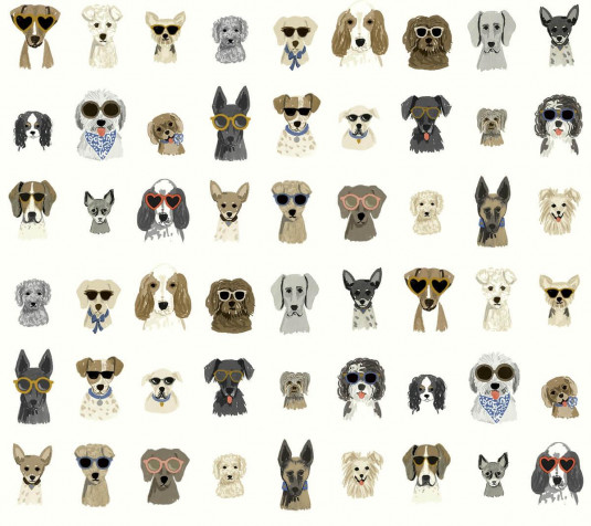 Dog Laptop Background 1200x1067px