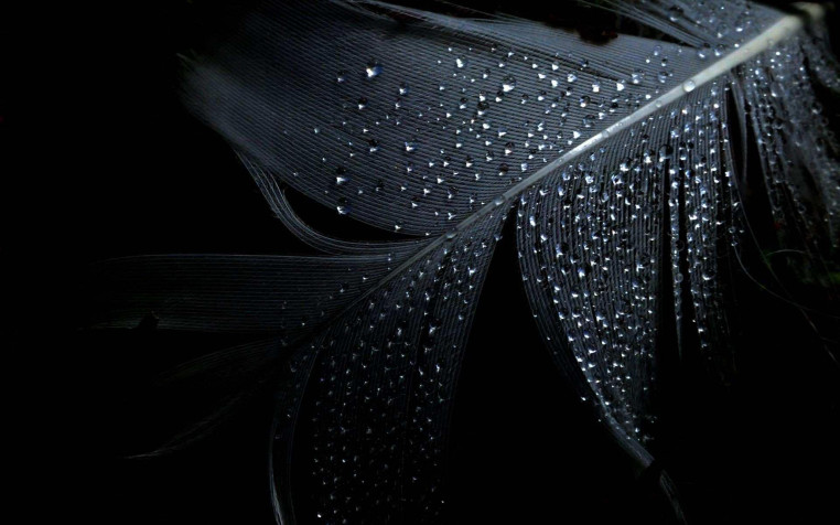 Black Hd Widescreen HD Wallpaper 1920x1200px