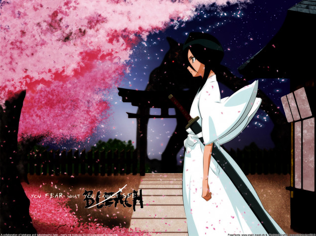 Rukia Kuchiki Wallpaper Image 1920x1440px