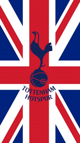 Tottenham Hotspur Fc Wallpaper for Mobile 1920x3415px