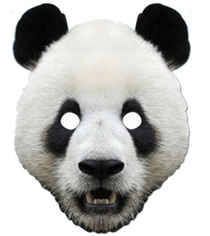 Panda Mask Wallpaper for Mobile 1141x1280px