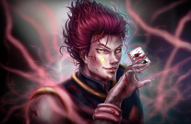 Hisoka Hd Desktop HD Background 1920x1253px