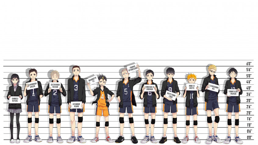 Karasuno 4k UHD Wallpaper 3840x2160px