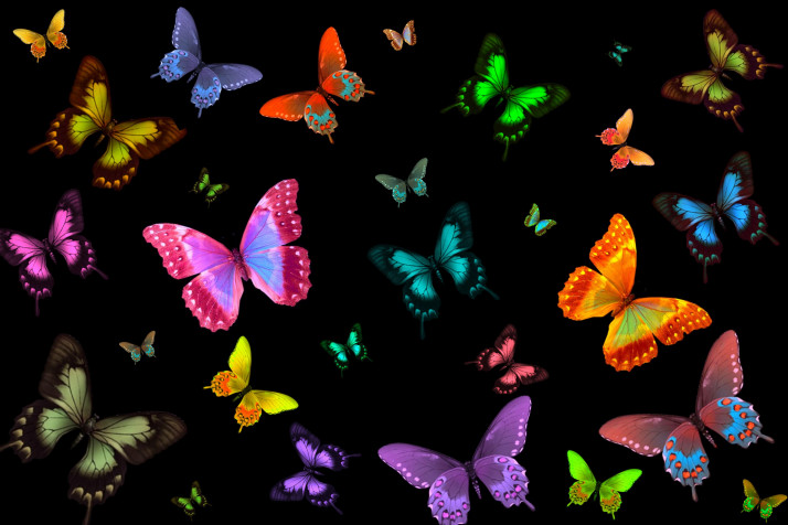 Butterfly HD Background 5120x3413px