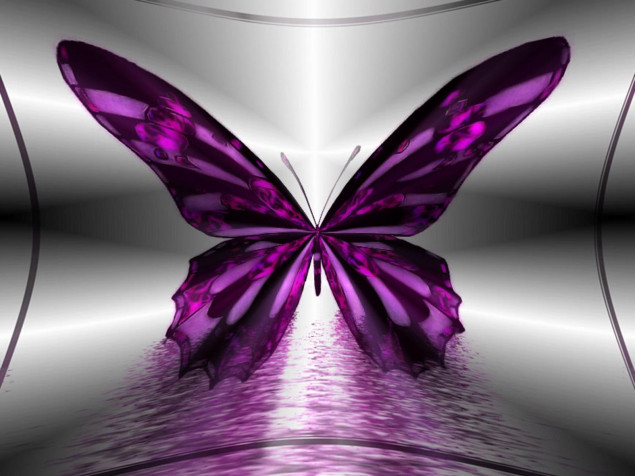 Butterfly MacBook Wallpaper 1600x1200px