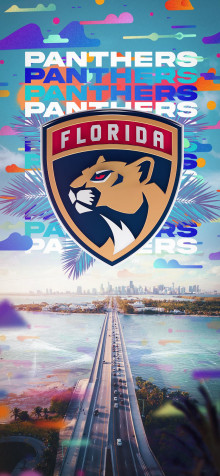 Florida Panthers iPhone 11 Pro Max Wallpaper 1242x2688px