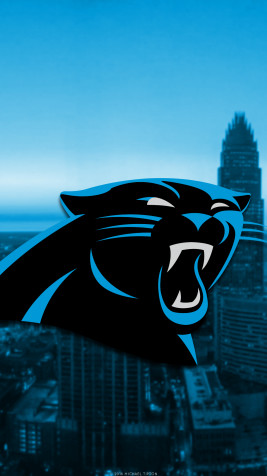 Carolina Panthers Wallpaper for iPhone 1080x1920px