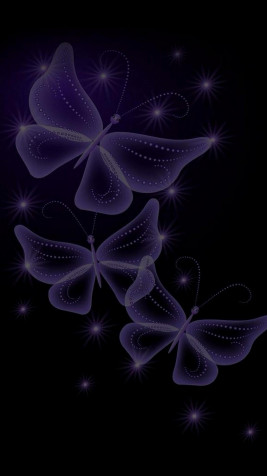 Butterfly iPhone Wallpaper 1080x1920px