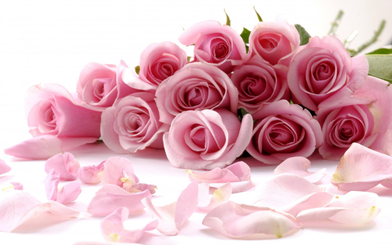 Pink Flowers HD Background 2560x1600px