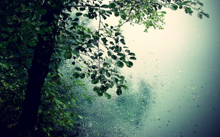 Rain Widescreen HD Wallpaper 1920x1200px