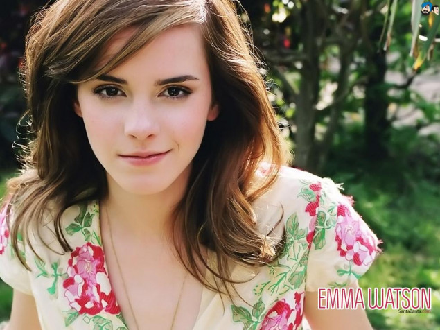 Emma Watson Desktop Background 1024x768px