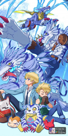 Digimon Phone Background Image 800x1600px