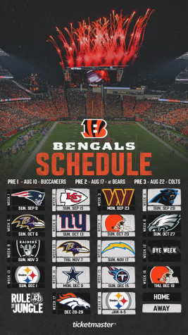 Cincinnati Bengals Logo Wallpaper for Mobile 1080x1920px