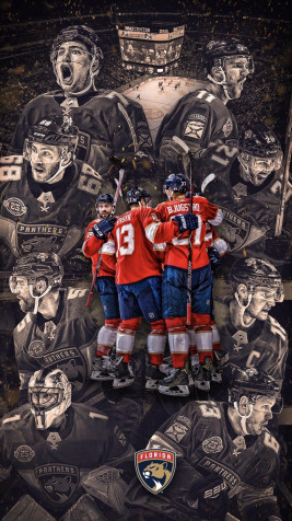 Florida Panthers iPhone Wallpaper Image 1152x2048px