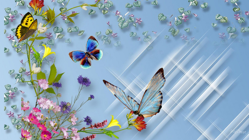 Butterflies Hd Full HD 1080p Wallpaper 1920x1080px