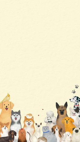 Dog Phone Background Image 800x1422px