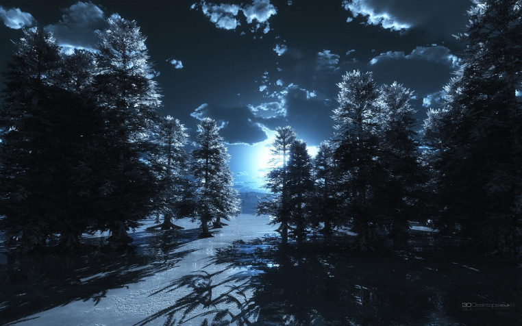 Night Widescreen HD Wallpaper 1920x1200px