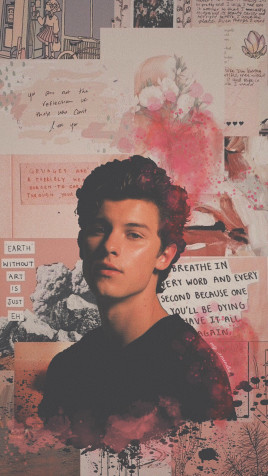 Shawn Mendes iPhone Background 1242x2204px