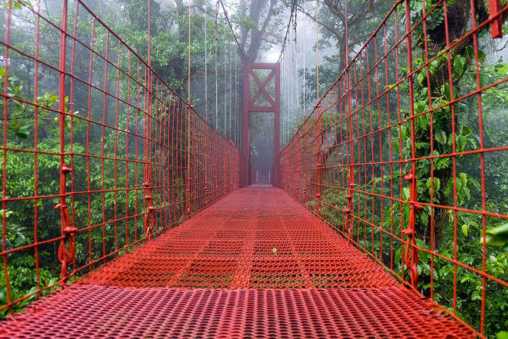 Monteverde Cloud Forest HD Wallpaper 2000x1333px