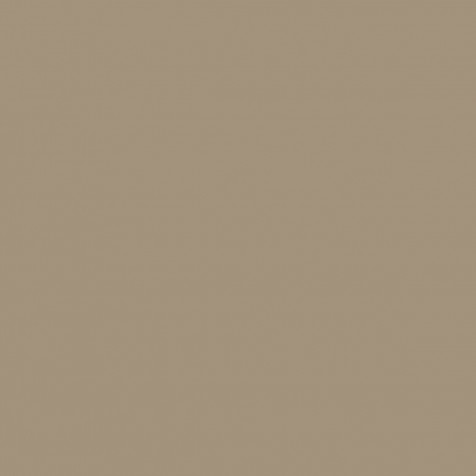 Beige Color Wallpaper for iPhone 1200x1200px