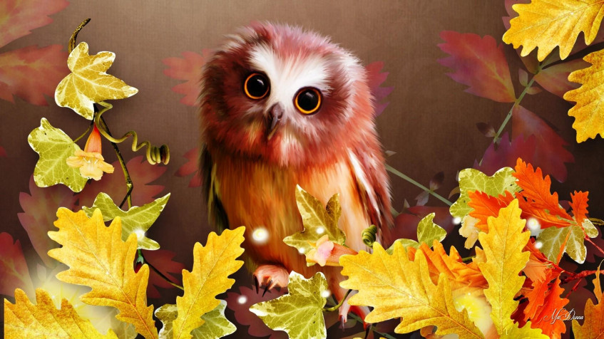 Cute Fall Full HD 1080p Wallpaper 1920x1080px