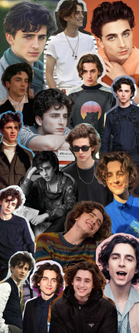 Timothee Chalamet iPhone Wallpaper Image 810x1920px