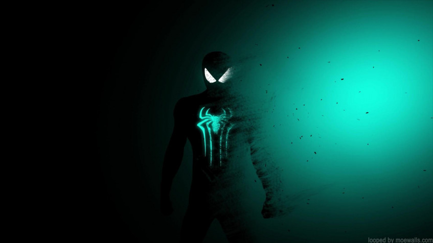 Neon Spider Man Full HD 1080p Wallpaper 1920x1080px