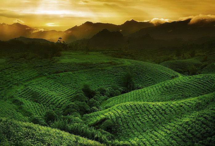 Cameron Highlands MacBook Background 2140x1458px