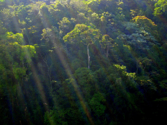 Monteverde Cloud Forest MacBook Wallpaper 1600x1200px