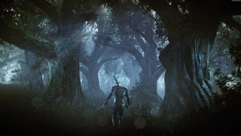 The Witcher 3 Full HD 1080p Wallpaper 1920x1080px