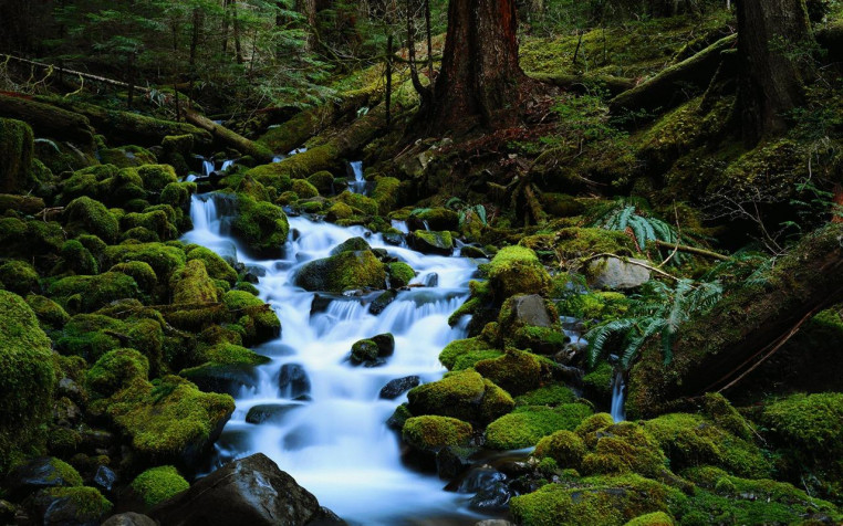 Brook Desktop Wallpaper 1280x800px