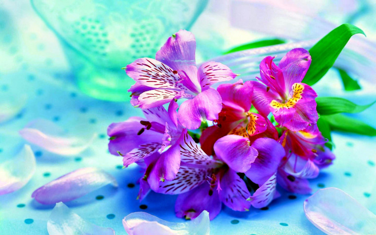 Floral Retina Widescreen Wallpaper 2880x1800px