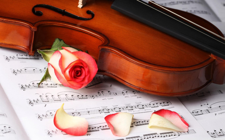 Violin Desktop HD Background 1680x1050px