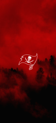 Tampa Bay Buccaneers iPhone 11 Pro Wallpaper 1125x2436px