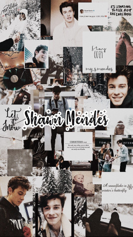 Shawn Mendes Wallpaper for iPhone 1591x2829px