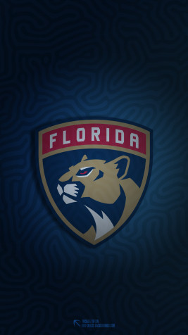 Florida Panthers 4k Phone Wallpaper 2160x3840px