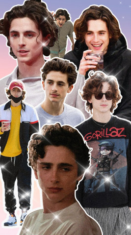 Timothee Chalamet Phone Wallpaper 900x1600px