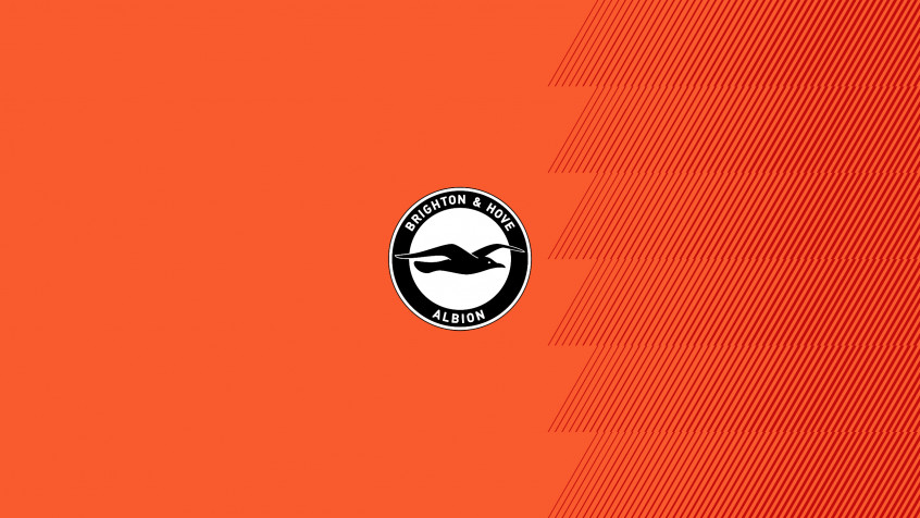 Brighton Fc 2k QHD Wallpaper 2560x1440px