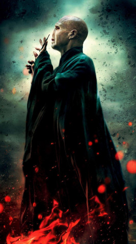 Lord Voldemort Wallpaper for iPhone 1080x1920px