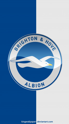 Brighton Fc Phone HD Background 4500x8000px