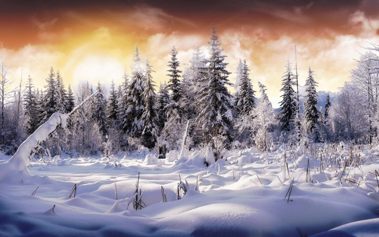 Winter Widescreen HD Wallpaper 1920x1200px