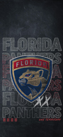 Florida Panthers iPhone 11 Pro Max Wallpaper 1242x2688px