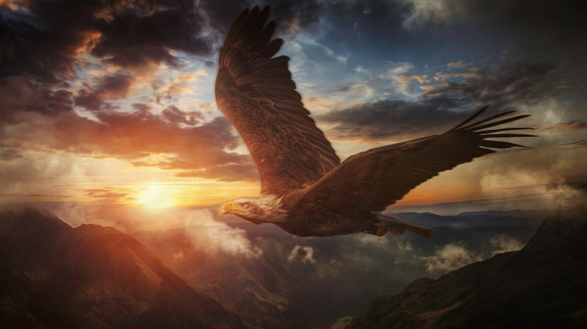 Full HD 1080p Wallpaper 1920x1080px